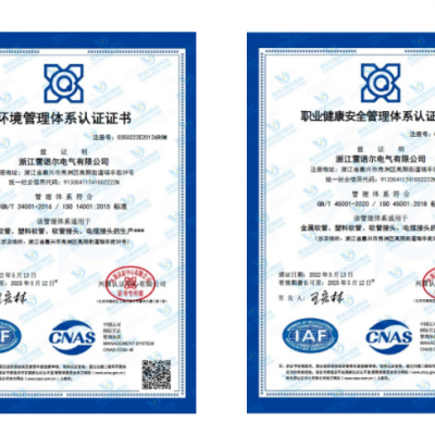 雷諾爾電氣順利通過ISO14001和ISO45001環(huán)境、安全管理體系認(rèn)證